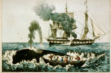 What is Whaling and why you should be scared