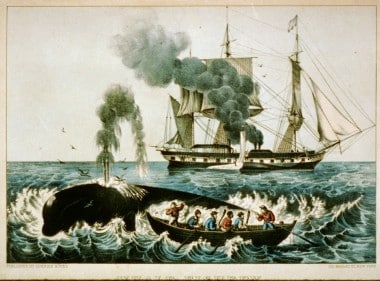 What is Whaling and why you should be scared